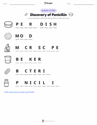 Discovery of Penicillin printable worksheet preview