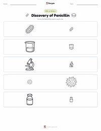 Discovery of Penicillin printable worksheet preview