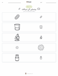 پینسلین کی دریافت پرنٹ کرنے کے قابل ورکشیٹ کا پیش نظارہ