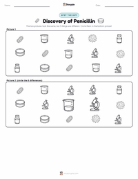 Discovery of Penicillin printable worksheet preview