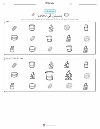 پینسلین کی دریافت پرنٹ کرنے کے قابل ورکشیٹ کا پیش نظارہ
