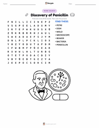 Discovery of Penicillin printable worksheet preview