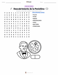 Vista previa de la hoja de trabajo imprimible de Descubrimiento de la Penicilina