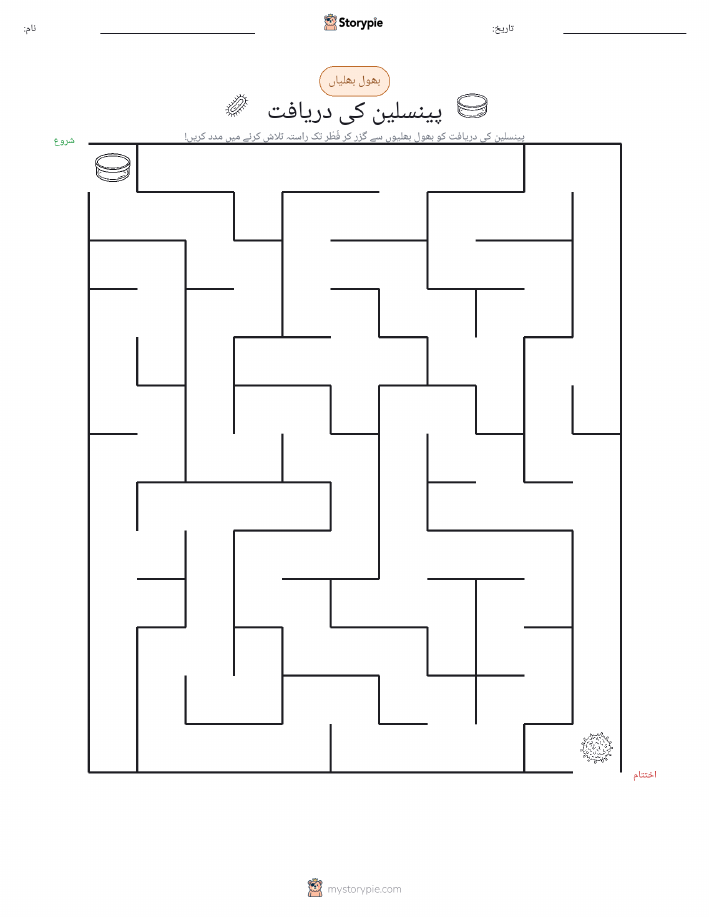 بھول بھلیاں