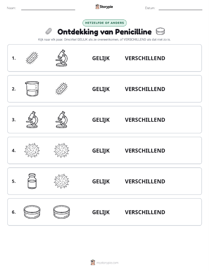 Zelfde of Verschillend