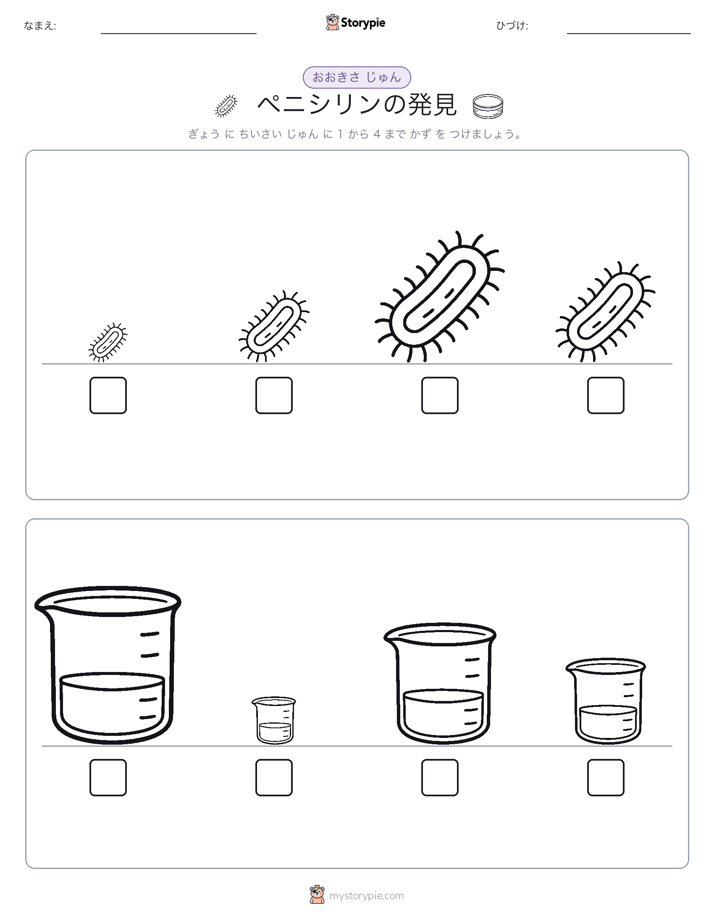 サイズ順