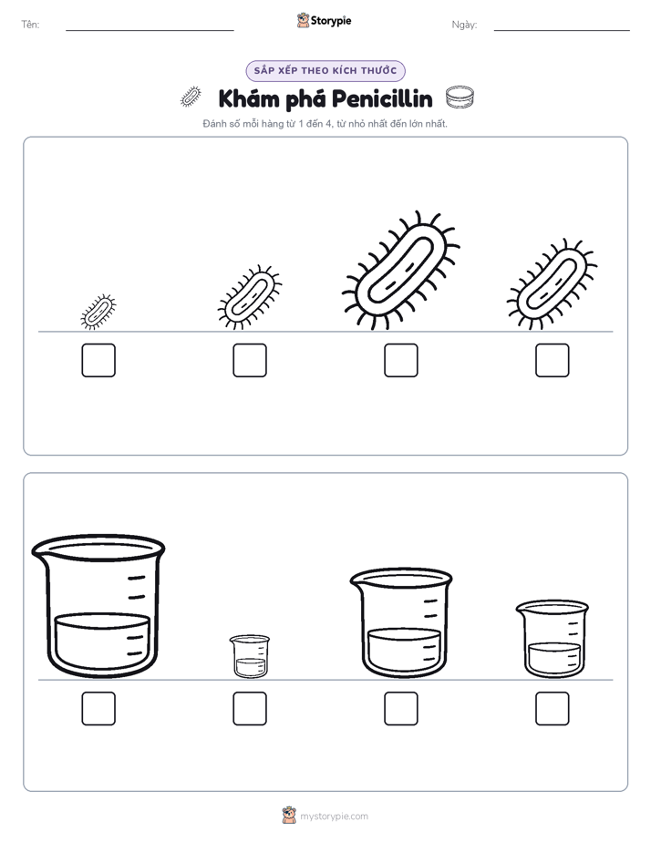 Thứ Tự Kích Thước