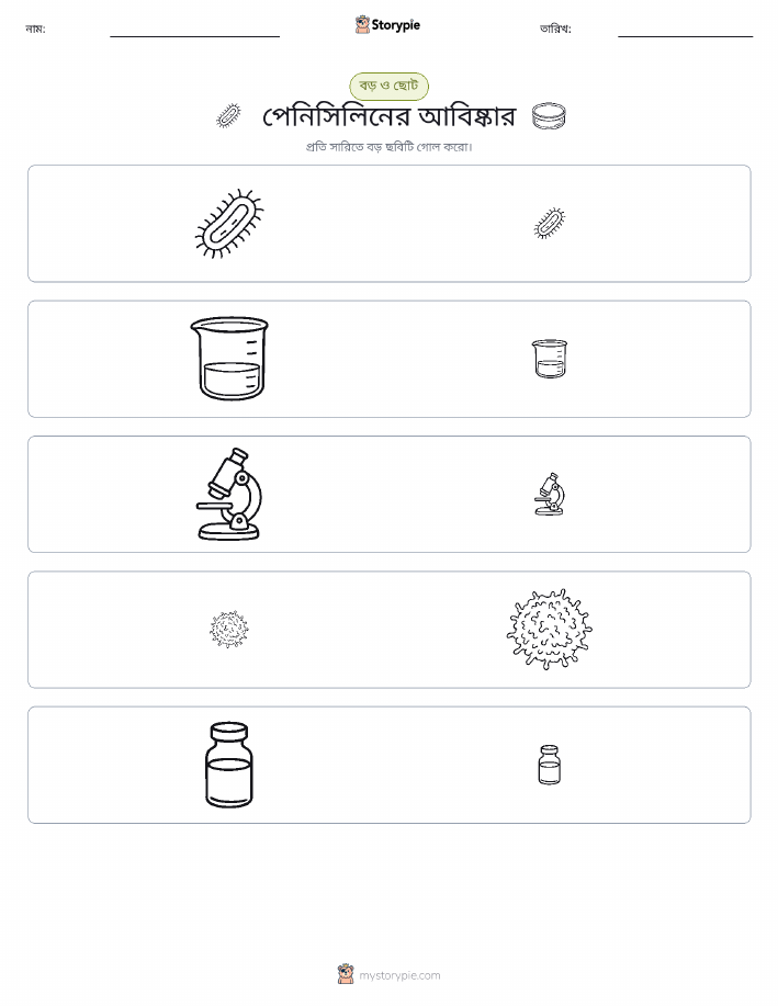সাজানো