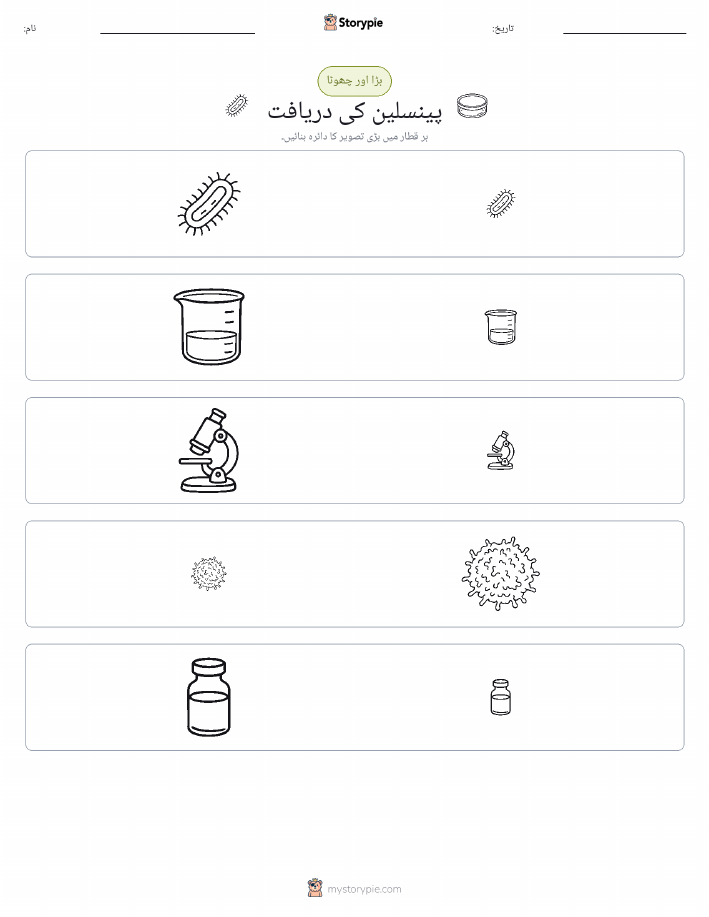ترتیب دینا