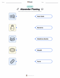 Alexander Fleming printable worksheet preview