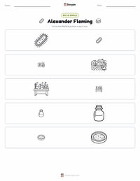 Alexander Fleming printable worksheet preview