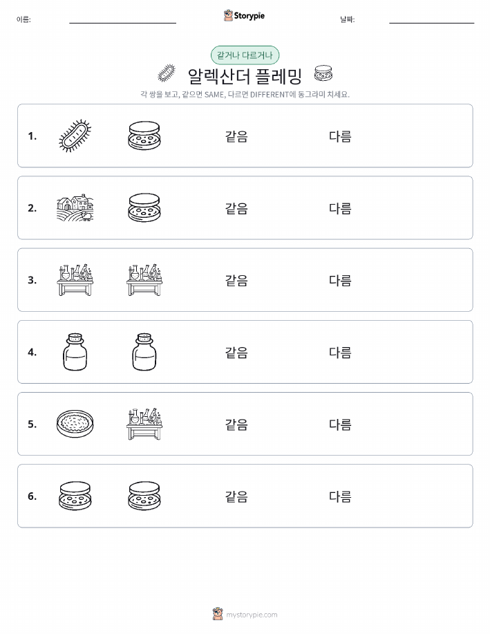 같은 것 또는 다른 것