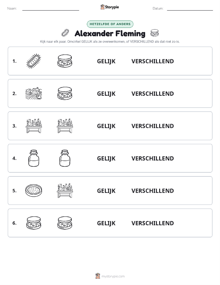 Zelfde of Verschillend