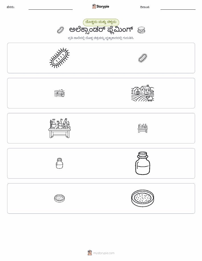 ವರ್ಗೀಕರಣ