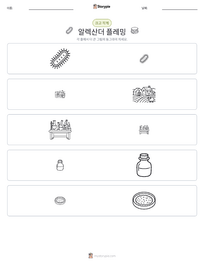 정렬