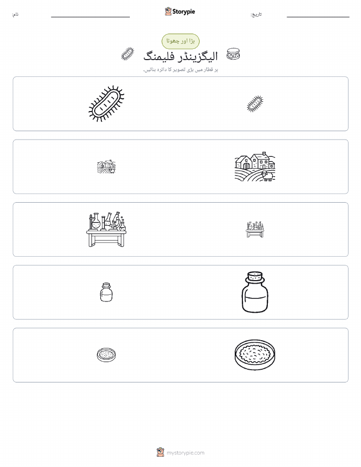 ترتیب دینا