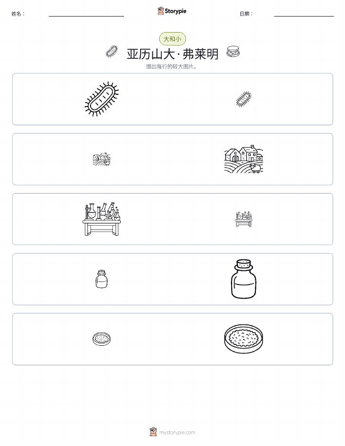 分类