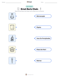 Vista previa de la hoja de trabajo imprimible de Ernst Boris Chain