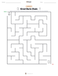 Vista previa de la hoja de trabajo imprimible de Ernst Boris Chain