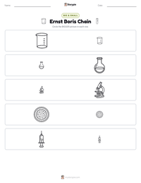 Ernst Boris Chain printable worksheet preview