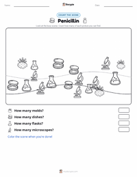 Penicillin printable worksheet preview