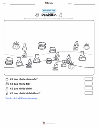 Xem trước tài liệu in sẵn Penicillin