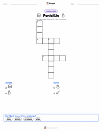 Penicillin printable worksheet preview