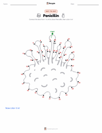 Penicillin printable worksheet preview