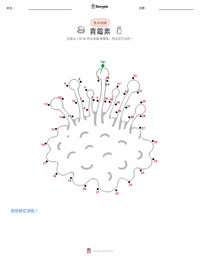 青霉素 可打印工作表预览