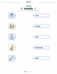 Penicillin printable worksheet for kids