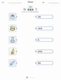 青霉素 可打印工作表，适合儿童