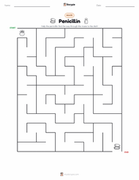 Penicillin printable worksheet preview