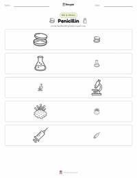 Penicillin printable worksheet preview