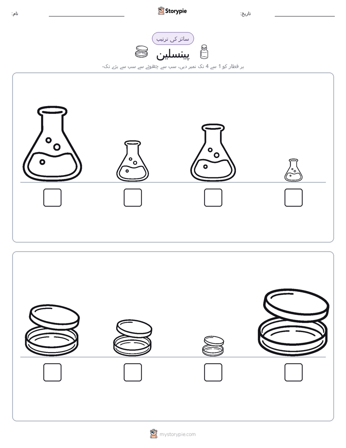 سائز کی ترتیب