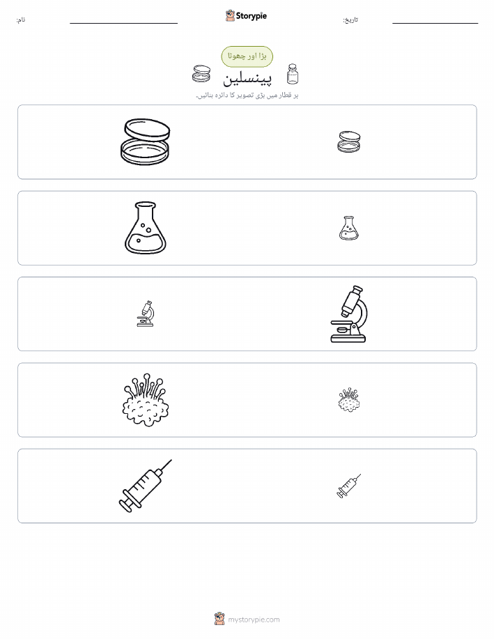ترتیب دینا