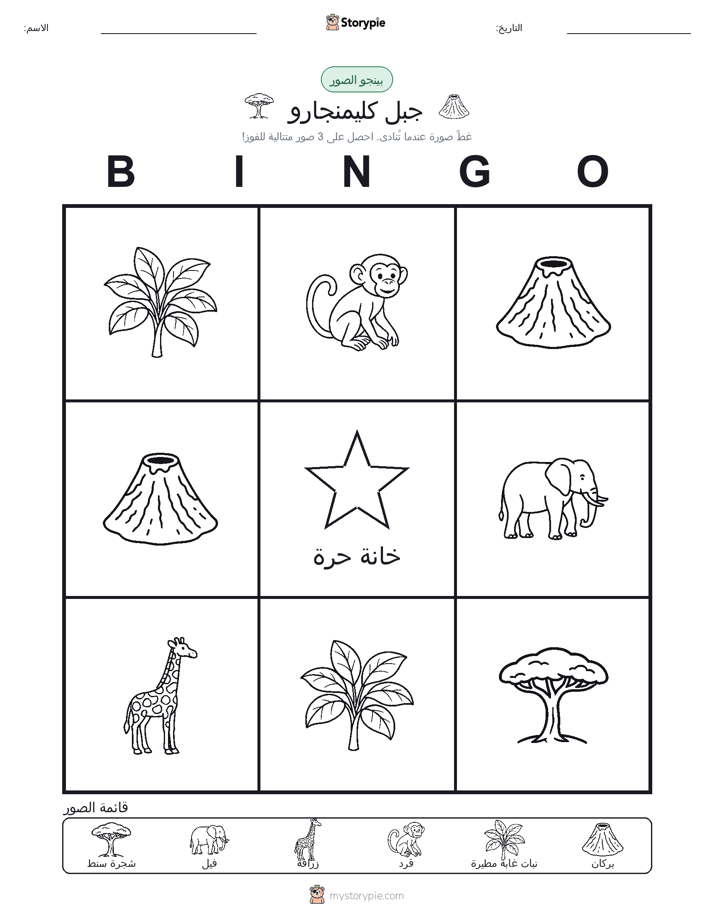 بينغو الصور
