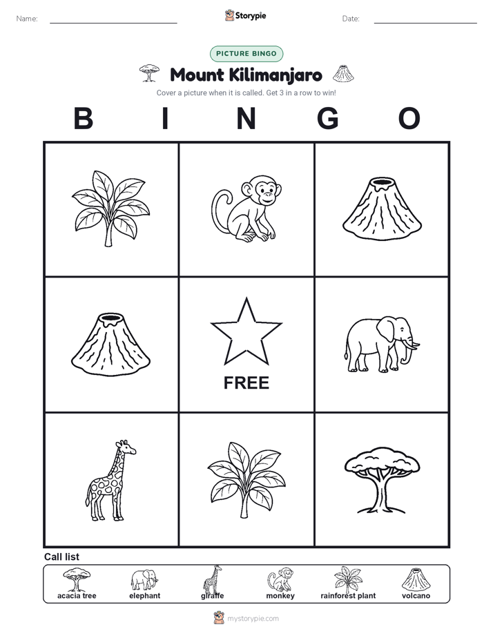 Picture Bingo