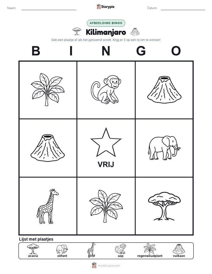 Afbeelding Bingo