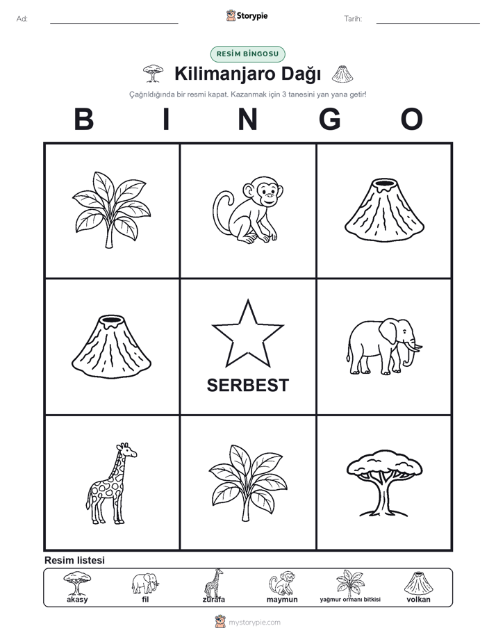 Resim Bingo
