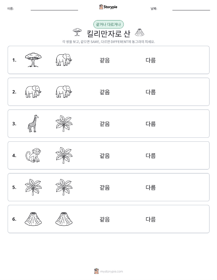 같은 것 또는 다른 것