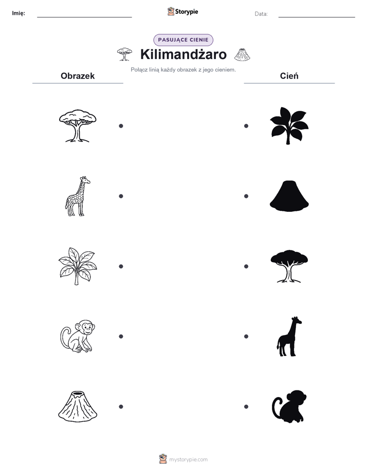 Dopasowanie cieni