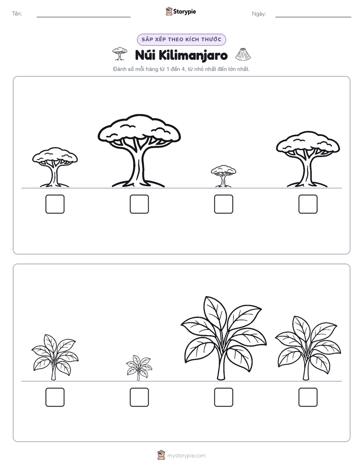 Thứ Tự Kích Thước