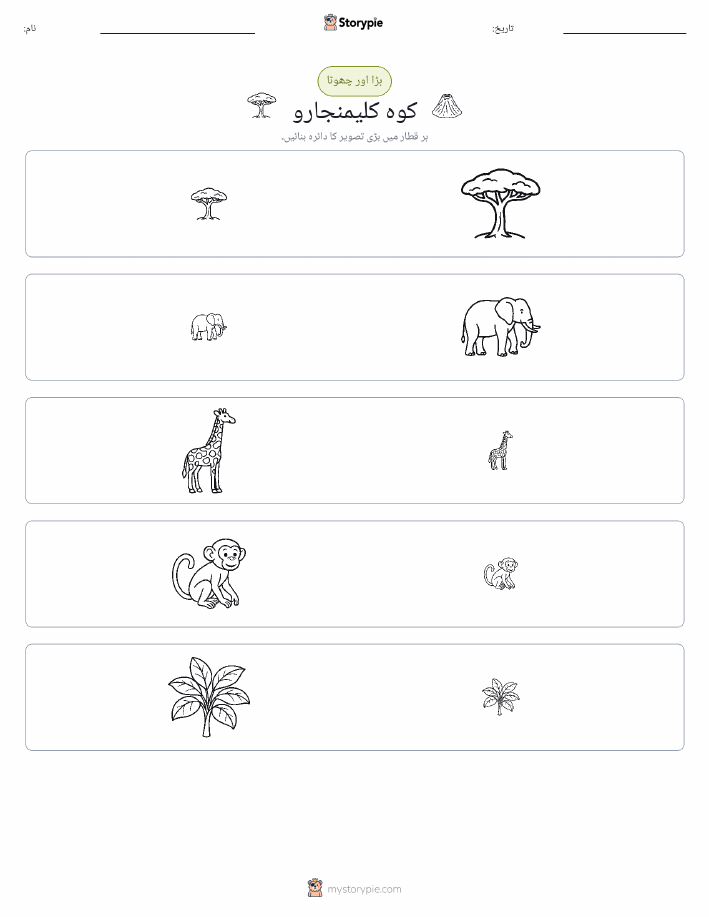 ترتیب دینا