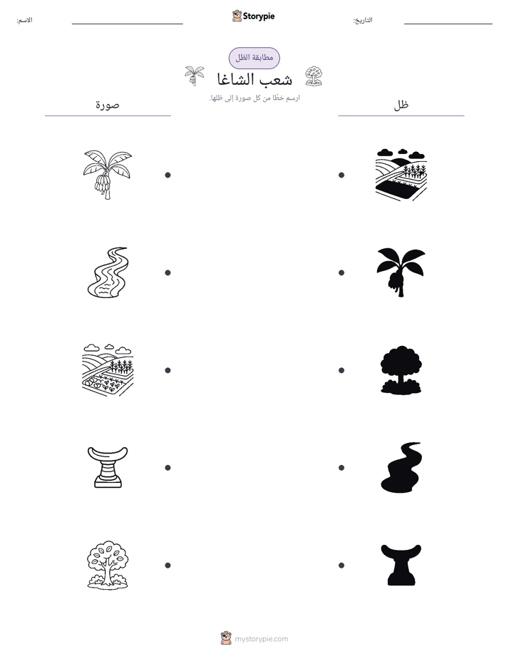 مطابقة الظل