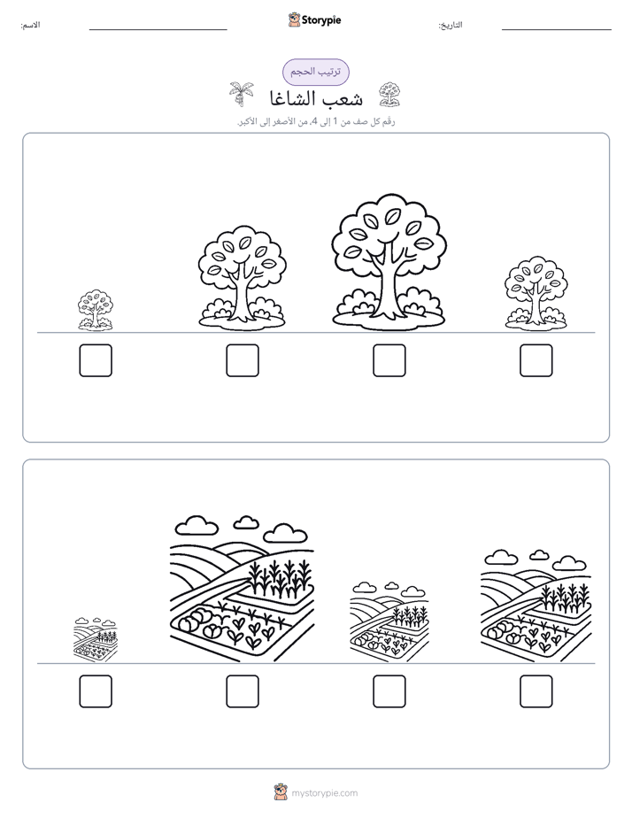 ترتيب الحجم