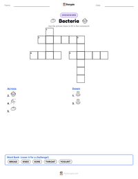 Bacteria printable worksheet preview
