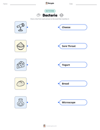 Bacteria printable worksheet preview