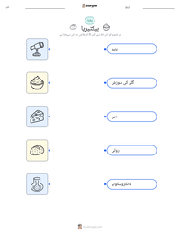 بیکٹیریا پرنٹ کرنے کے قابل ورکشیٹ کا پیش نظارہ