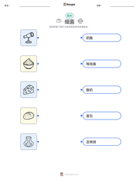 细菌 可打印工作表预览