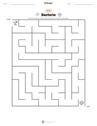 Bacteria printable worksheet preview